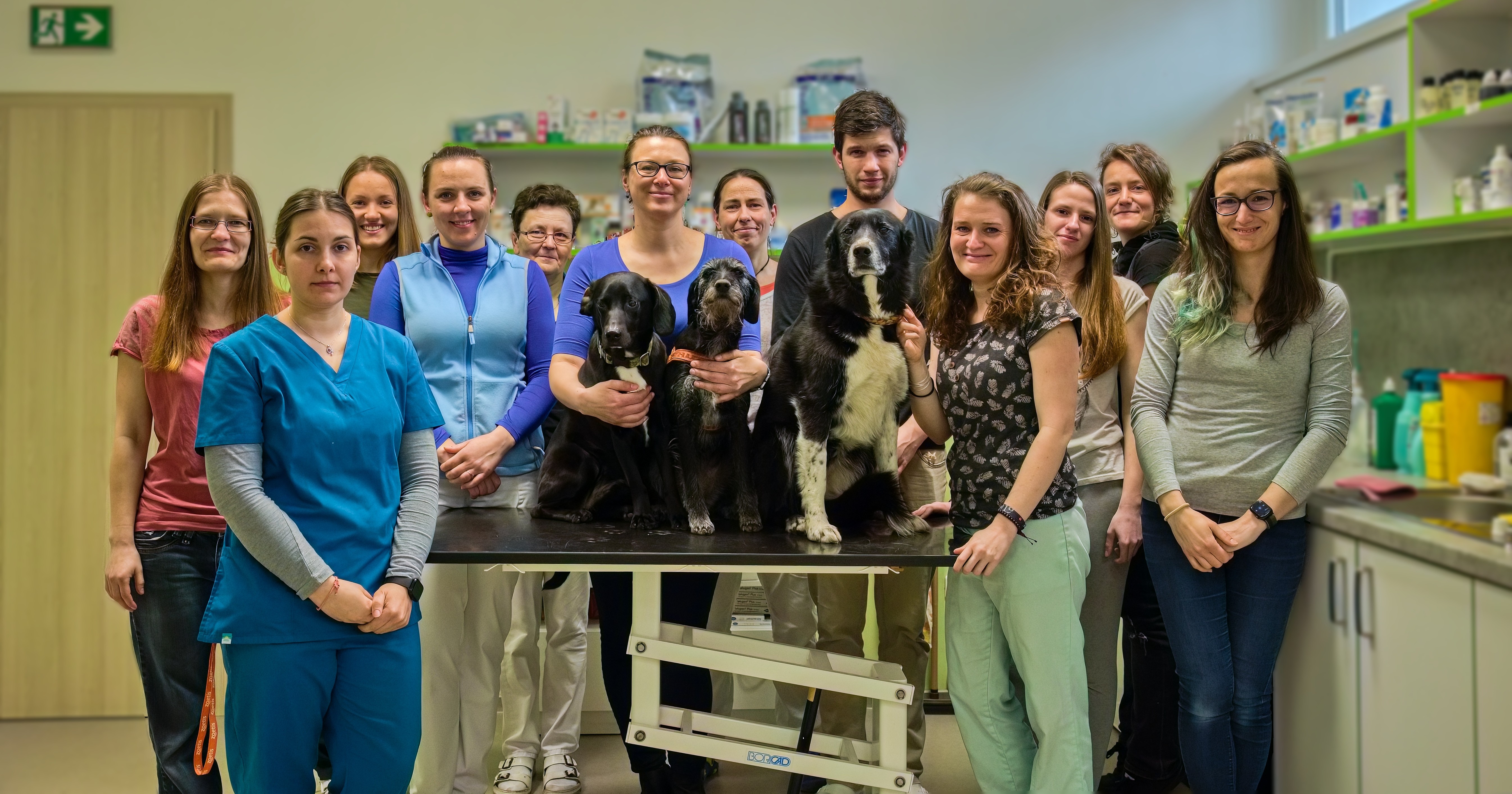 Veterinář